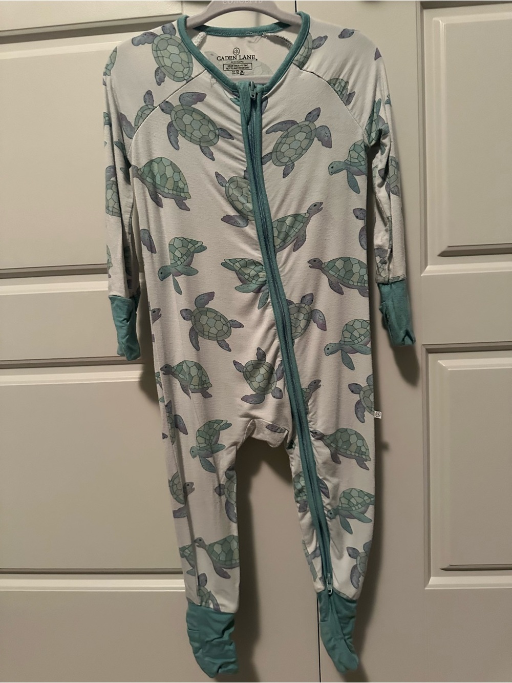 Caden Lane Turtle Jammies